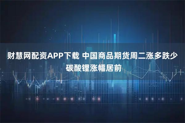 财慧网配资APP下载 中国商品期货周二涨多跌少 碳酸锂涨幅居前