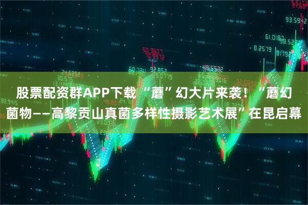 股票配资群APP下载 “蘑”幻大片来袭！“蘑幻菌物——高黎贡山真菌多样性摄影艺术展”在昆启幕