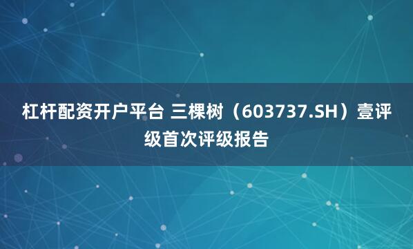 杠杆配资开户平台 三棵树（603737.SH）壹评级首次评级报告