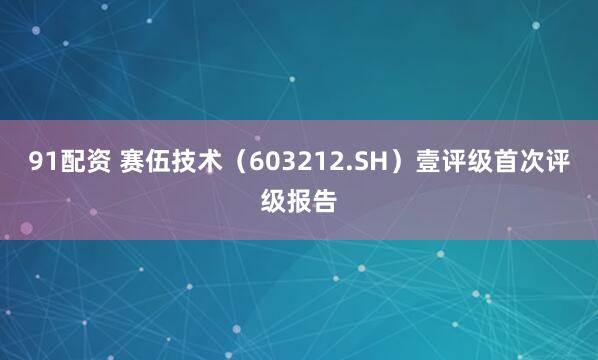 91配资 赛伍技术（603212.SH）壹评级首次评级报告