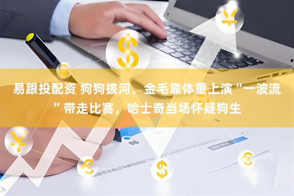 易跟投配资 狗狗拔河，金毛靠体重上演“一波流”带走比赛，哈士奇当场怀疑狗生