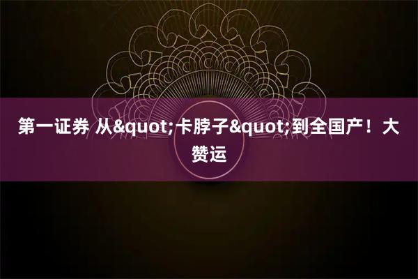第一证券 从"卡脖子"到全国产！大赞运
